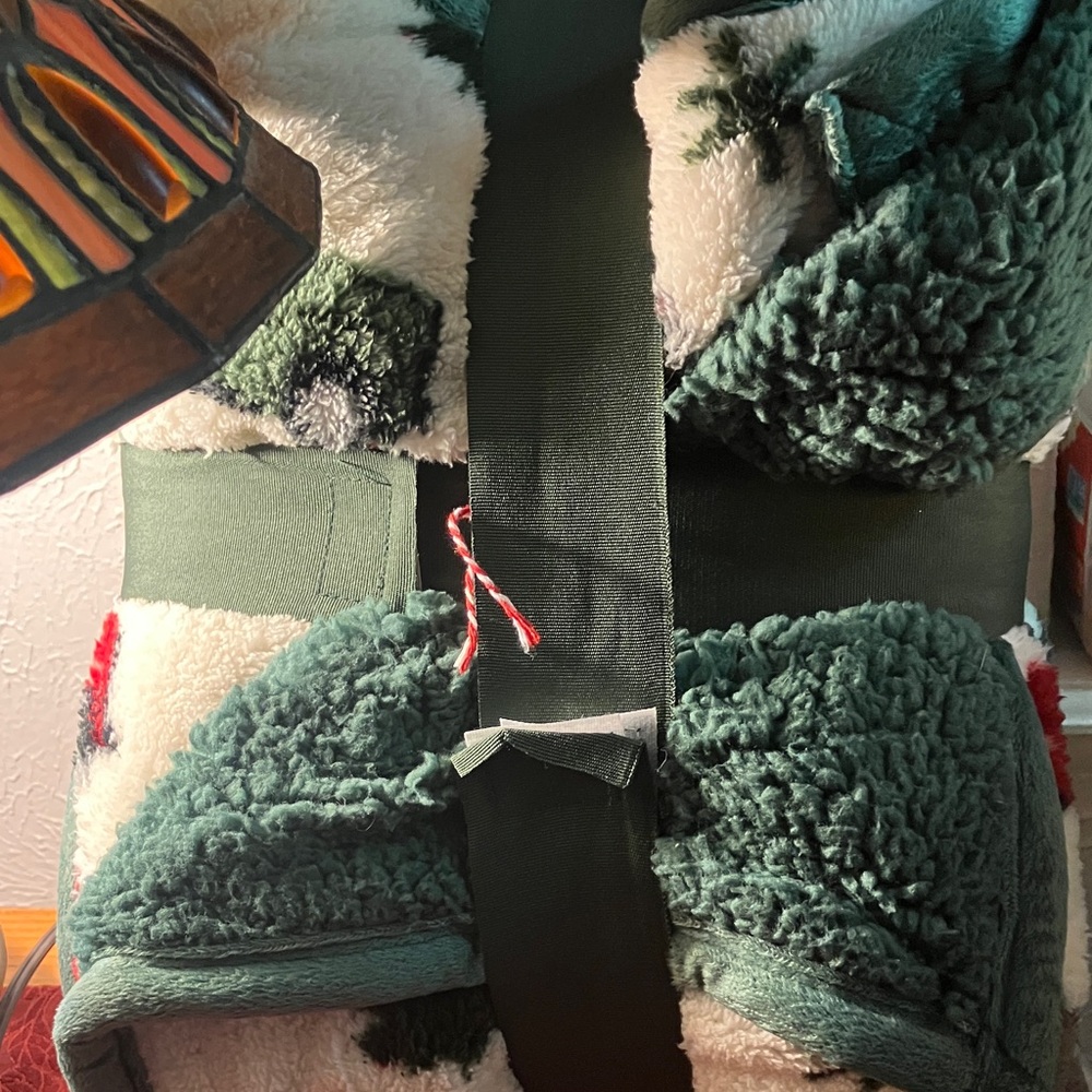 Cozy Green and White Sherpa Throw Blanket - Picture 2 of 9
